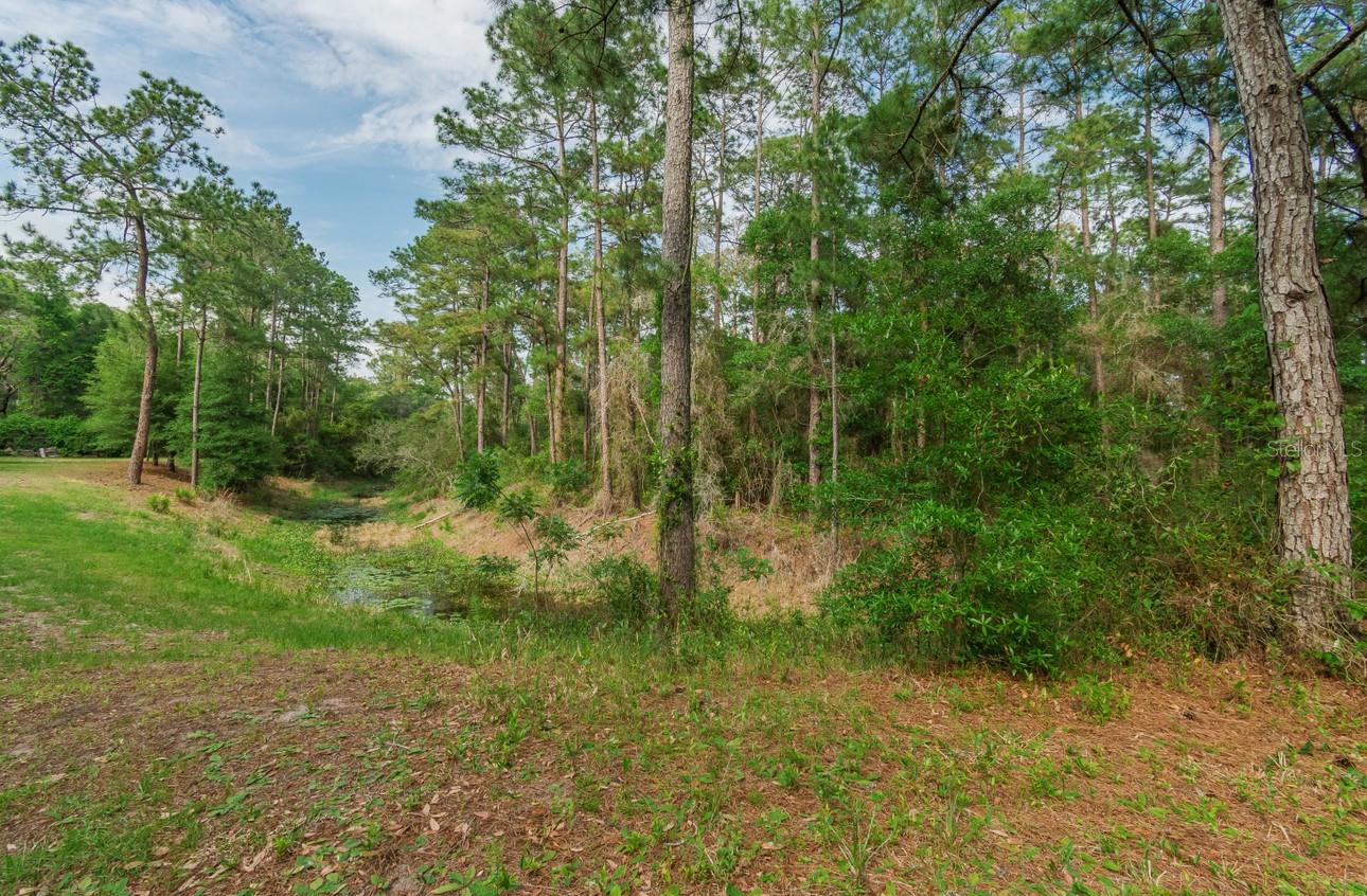 LAKE GARDENS CITRUS CO UNREC - Land