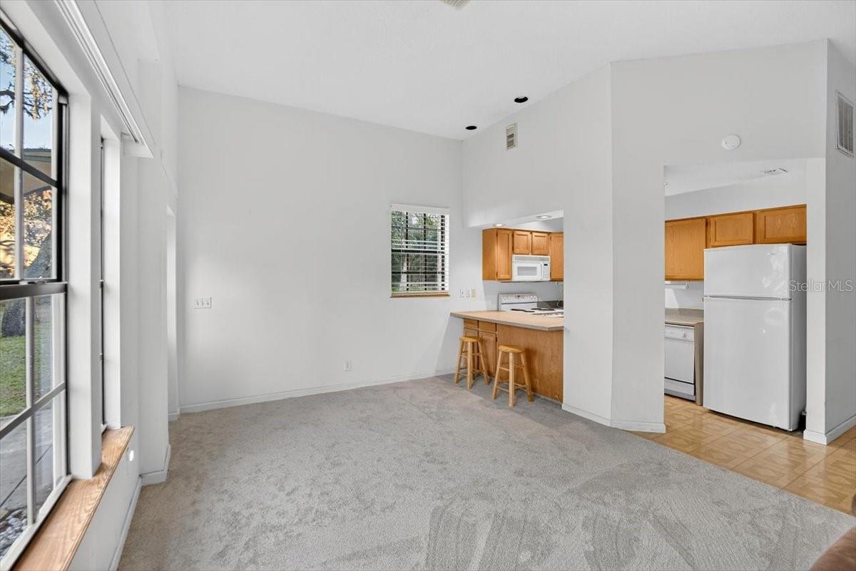 SHADOW RUN UNIT 1 - Residential