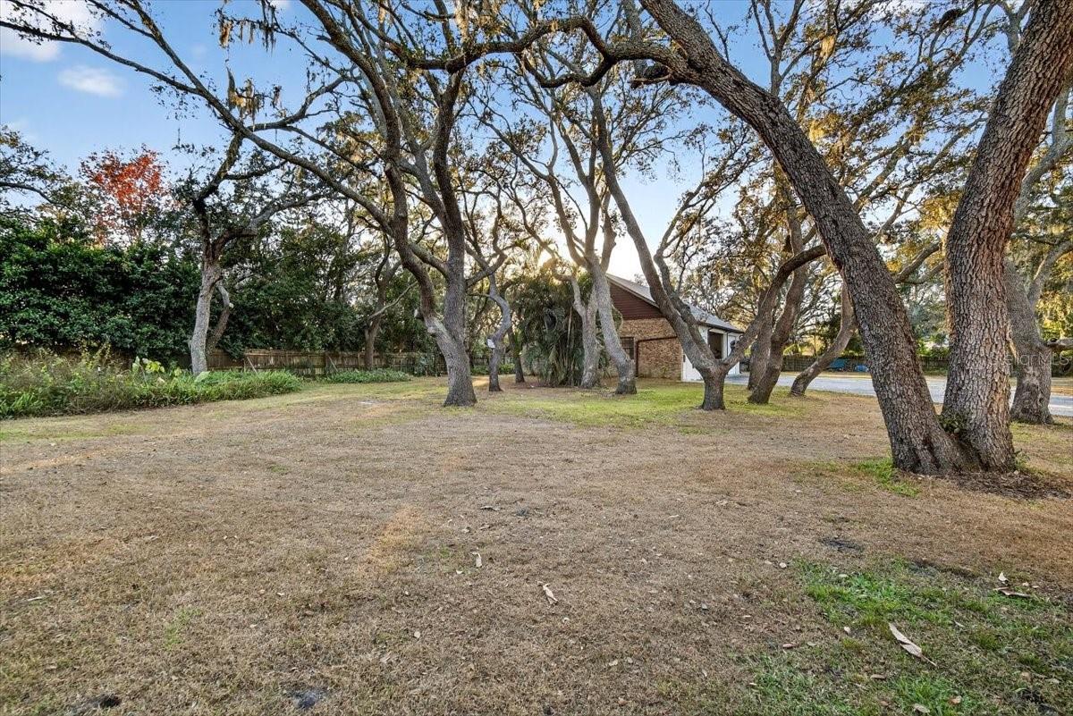 SHADOW RUN UNIT 1 - Residential