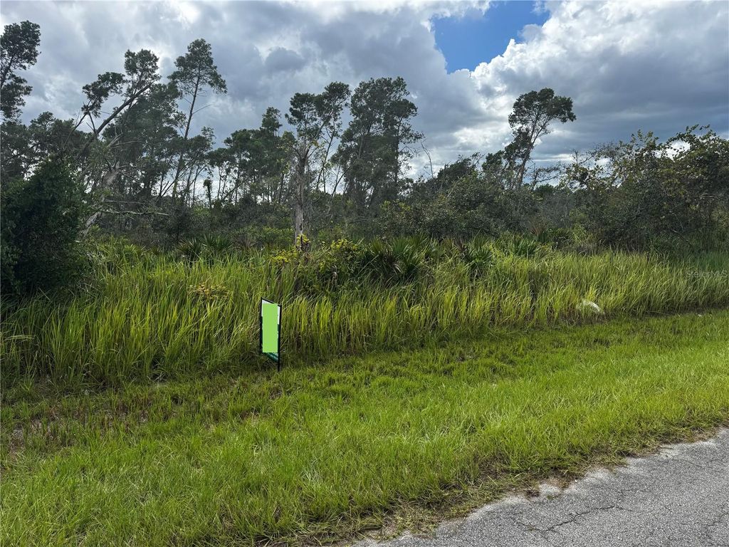Photo of 7925 Yumuri Street, Sebring, FL 33872 (MLS # O6351503)
