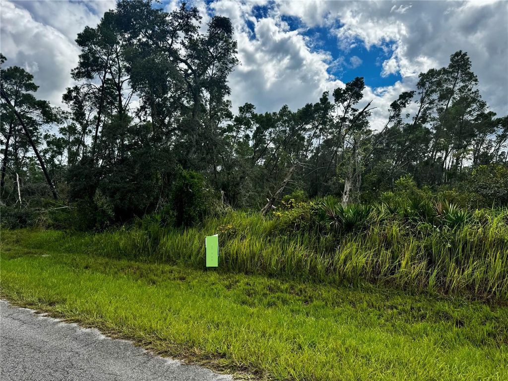 Photo of 7925 Yumuri Street, Sebring, FL 33872 (MLS # O6351503)