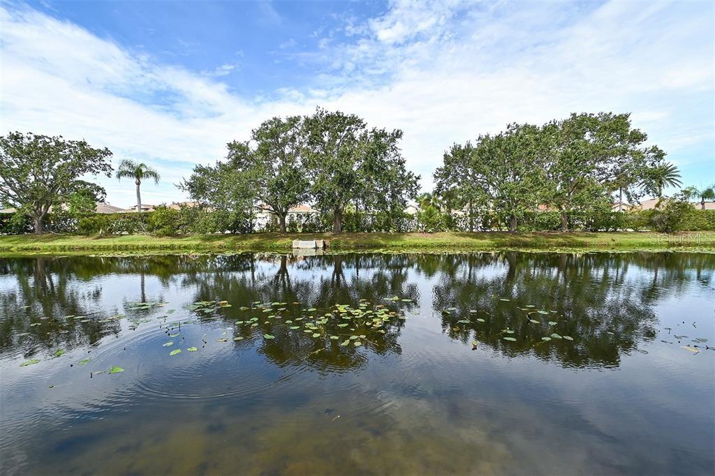 SERENADE ON PALMER RANCH - Residential Lease