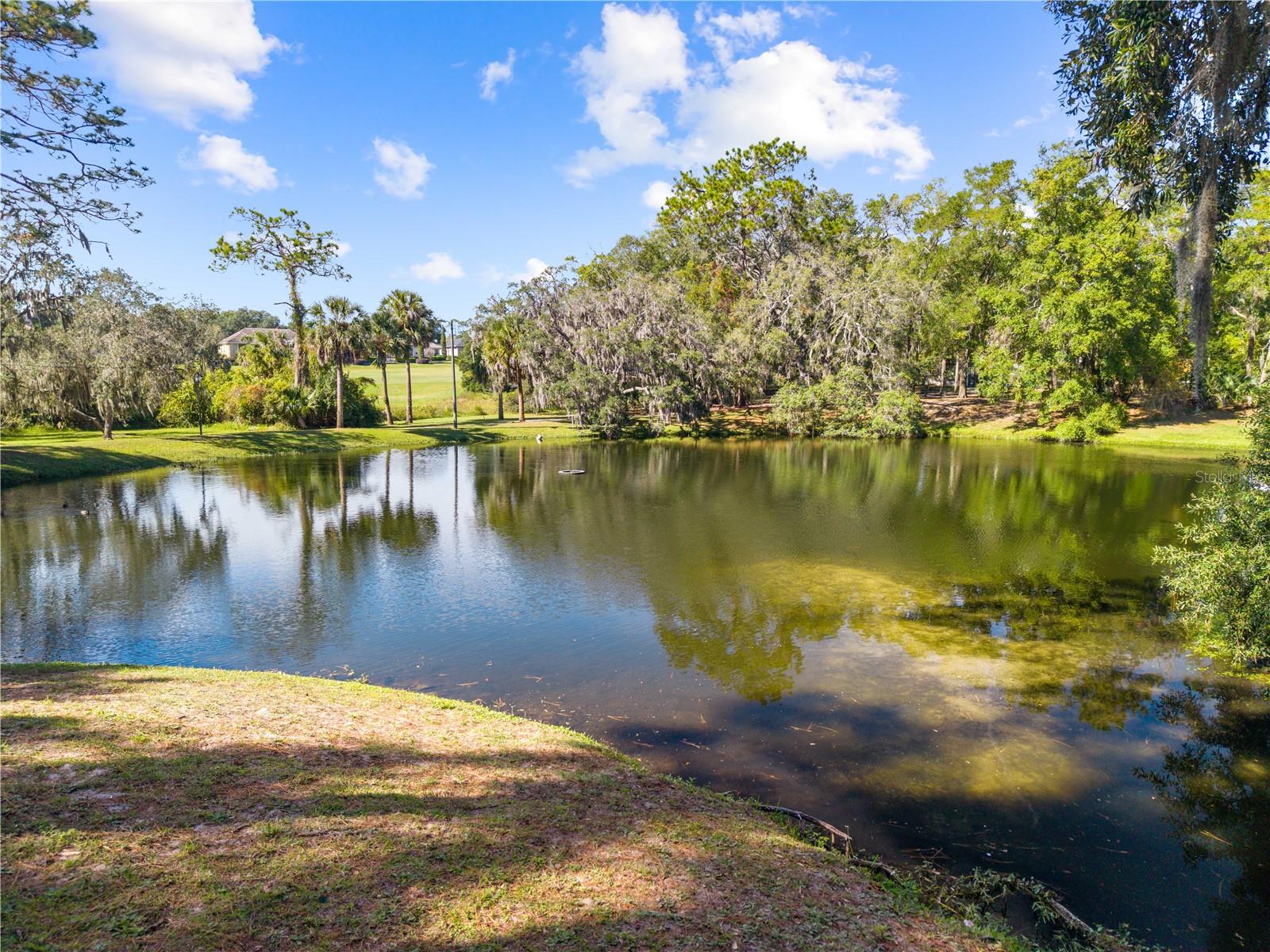 WEKIVA HILLS SEC 08 - Residential