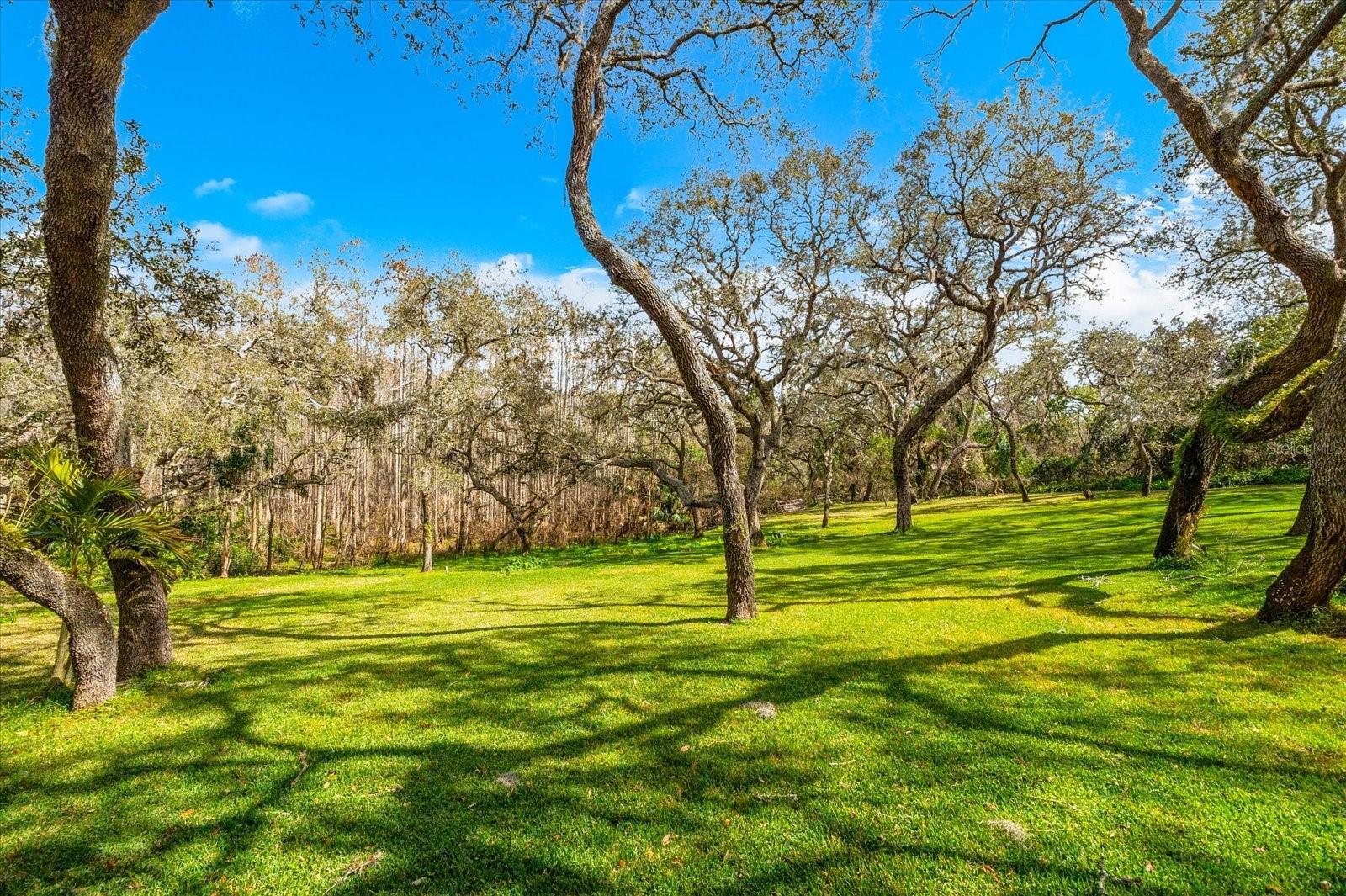 PINELLAS COUNTY - Residential