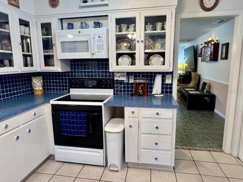 Tiny photo for 4033 SE 15th St, Ocala, FL 34471 (MLS # OM731273)