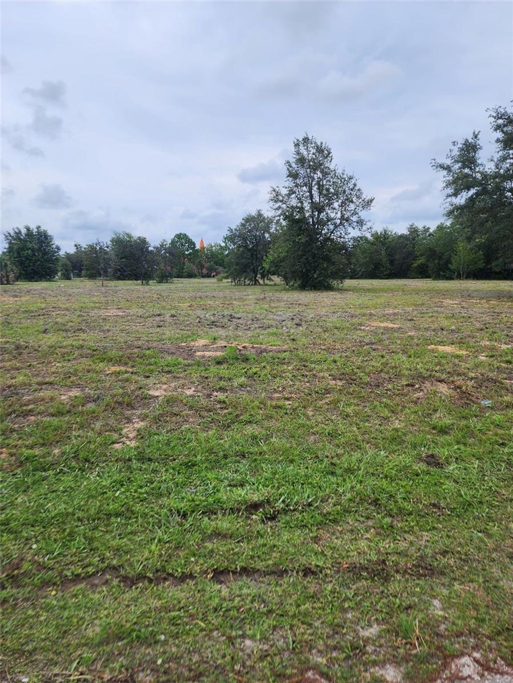 Photo of 4975 E Triss Street, Inverness, FL 34452 (MLS # TB8498094)