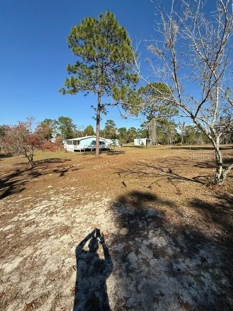 A home in DUNNELLON