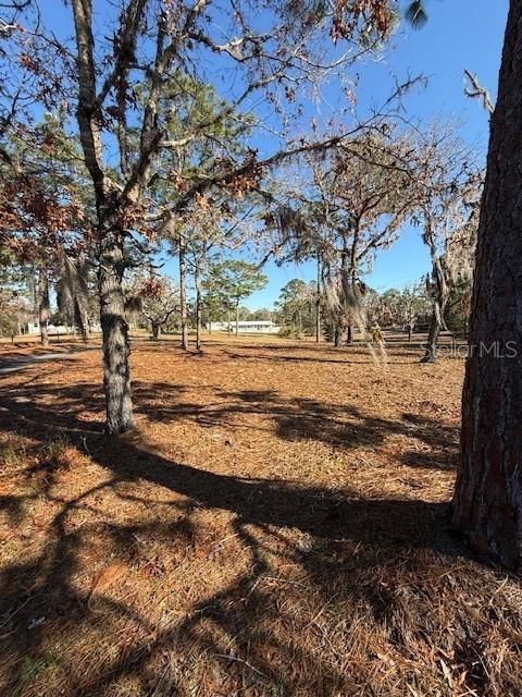 A home in DUNNELLON