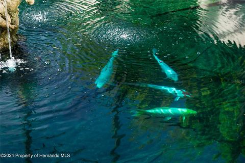 Tiny photo for 11915 W Riverhaven Drive, Homosassa, FL 34448 (MLS # W7883487)