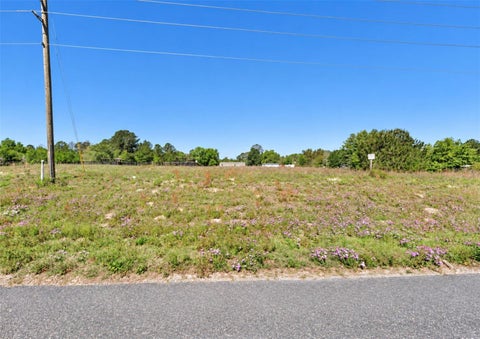 Tiny photo for Unassigned, Morriston, FL 32668 (MLS # TB8559992)