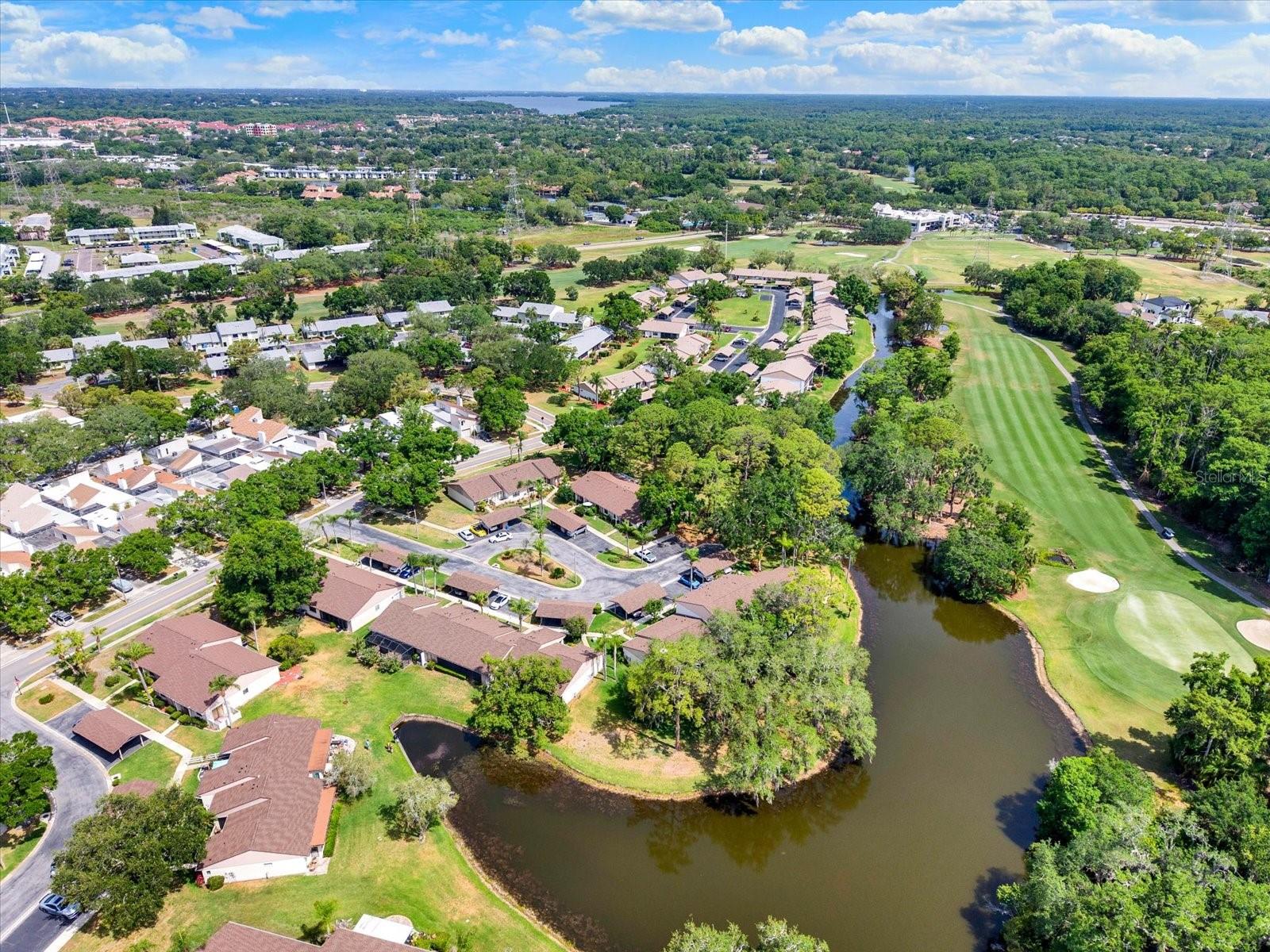 EAST LAKE WOODLANDS CLUSTER HOMES - Residential