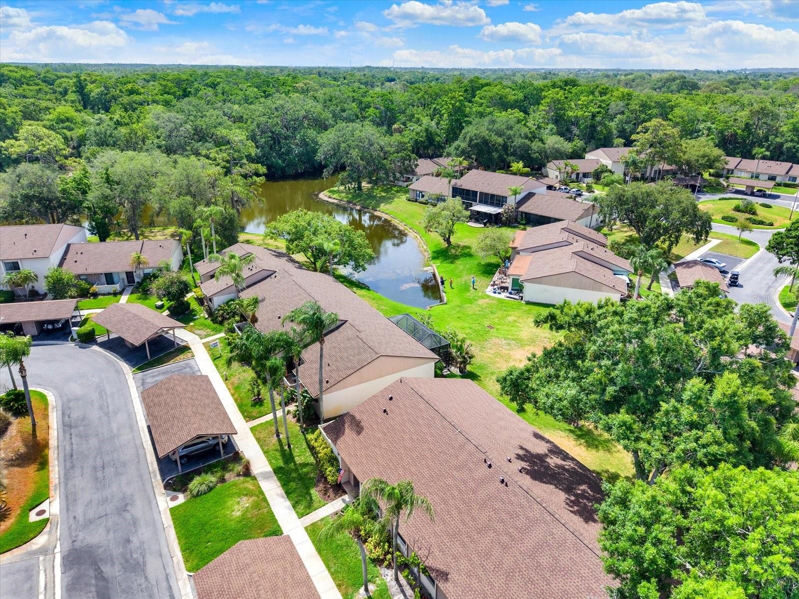 EAST LAKE WOODLANDS CLUSTER HOMES - Residential