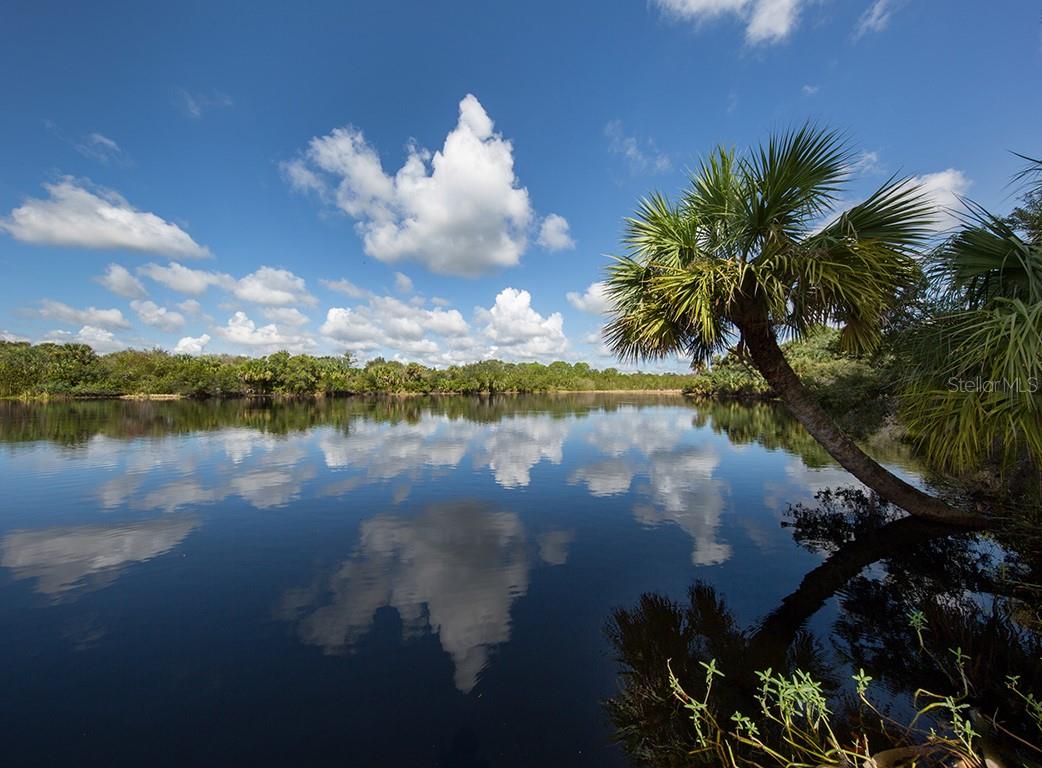 COLONY/SABAL TRACE - Residential Lease