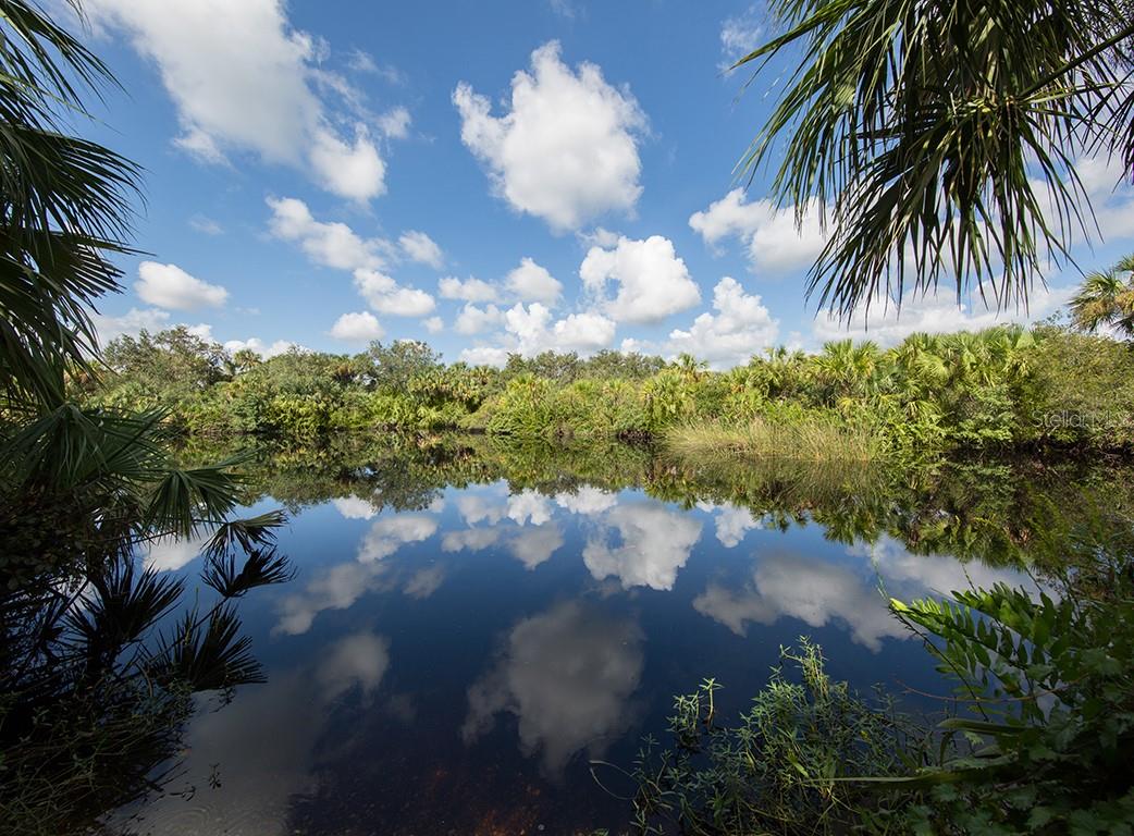COLONY/SABAL TRACE - Residential Lease