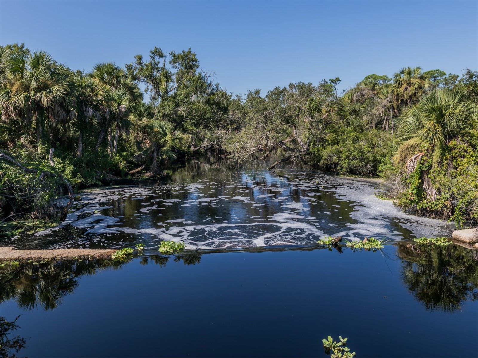 COLONY/SABAL TRACE - Residential Lease
