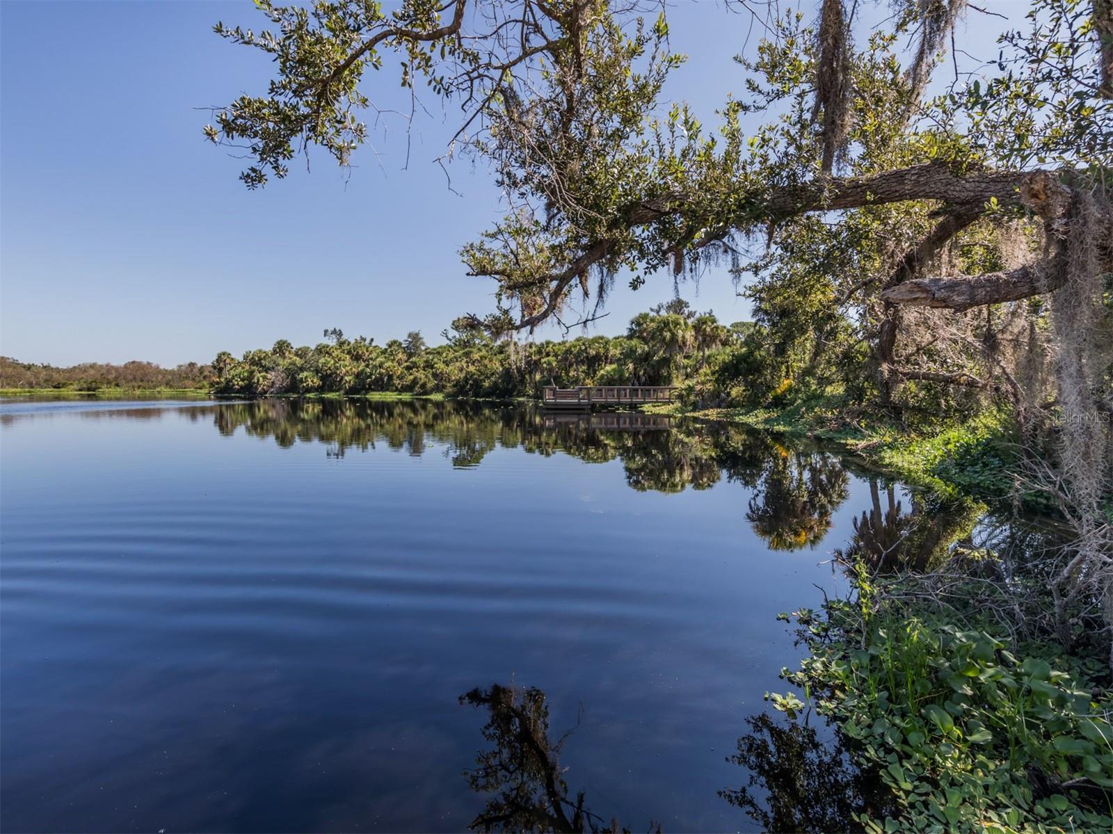COLONY/SABAL TRACE - Residential Lease