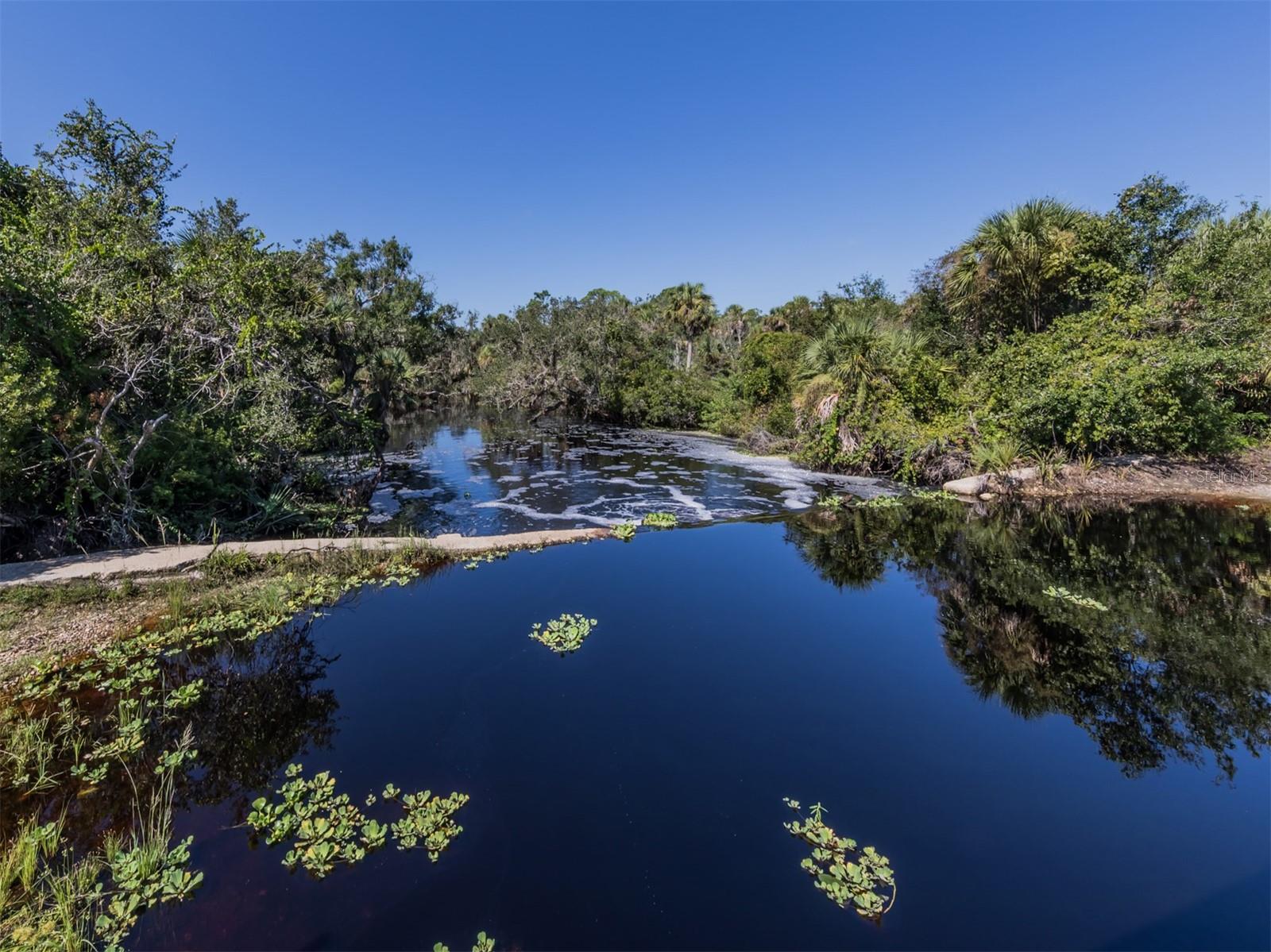 COLONY/SABAL TRACE - Residential Lease