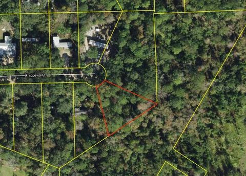 CHIPPEWA COURT HAVANA FL 32333