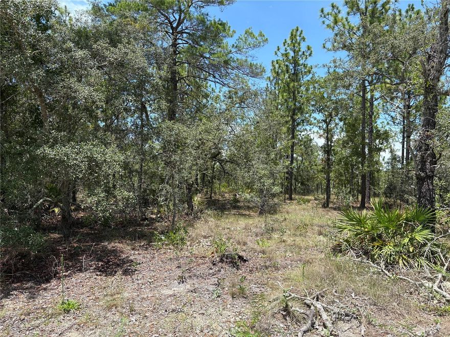 Build your dream home or investment property on this beautiful 0.71-acre vacant lot! Nestled in a peaceful and growing area while still being close to shopping, schools, and recreation.