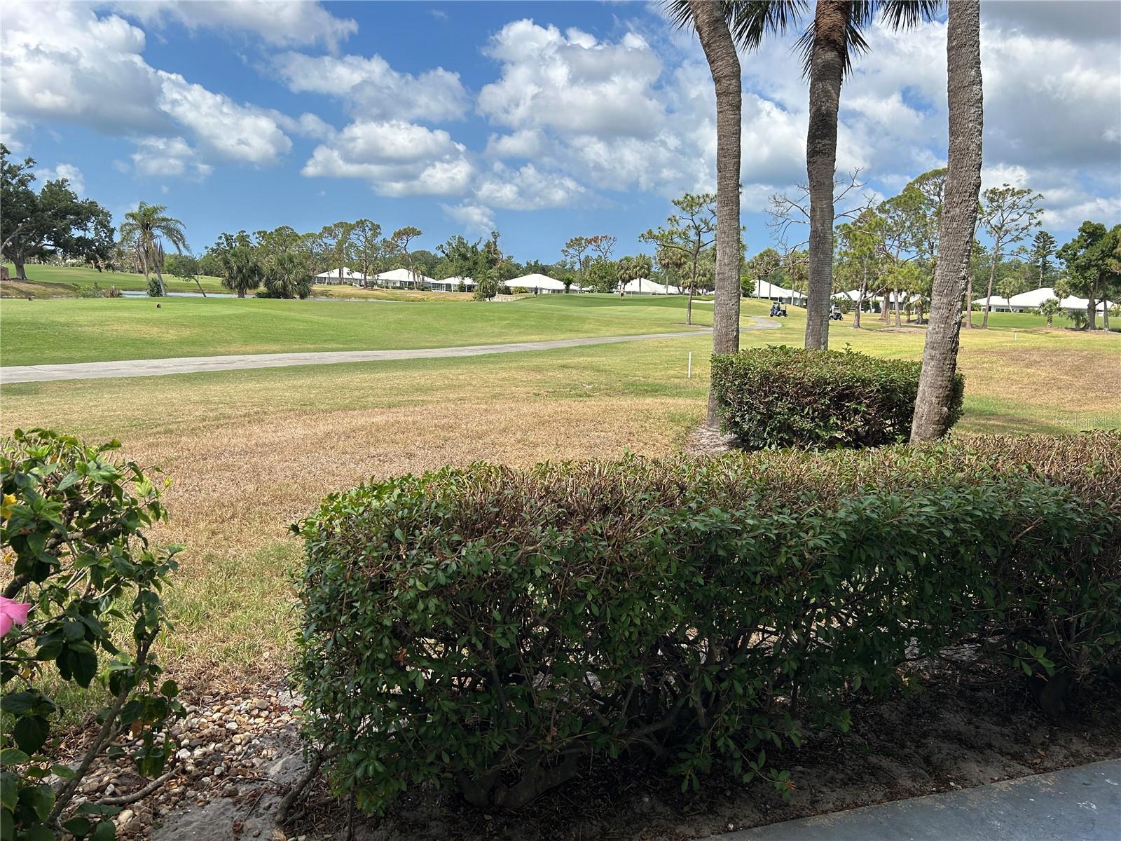 433 CERROMAR LANE 331