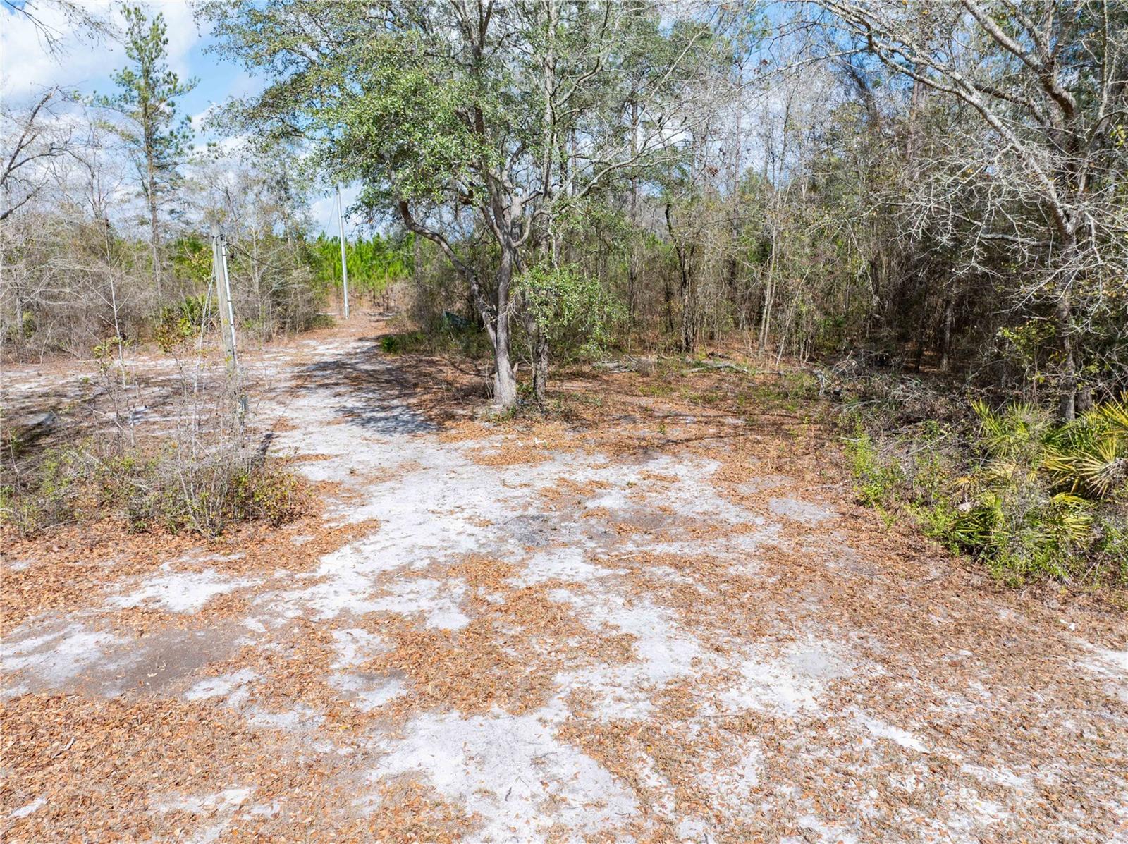 UNION COUNTY FLYING TIGER/ NEW RIVER ESTATES - Land