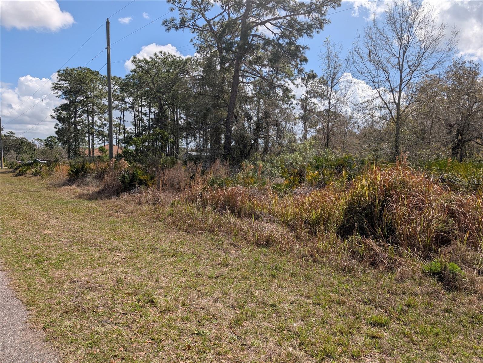 INDIAN LAKE ESTATES - Land