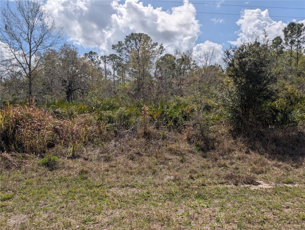 Photo of 817 Poinciana Drive, Indian Lake Estates, FL 33855 (MLS # P4938038)