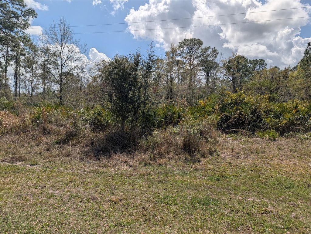 Photo of 817 Poinciana Drive, Indian Lake Estates, FL 33855 (MLS # P4938038)