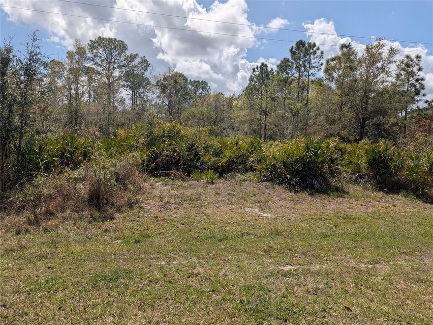 Come build your forever home on this one-half acre lot that located in the lake community of Indian Lake Estates, a golfing, fishing and boating community in the center of Florida. You can be out on Lake Walk in Water fishing in just minutes! Indian Lake Estates is about 20 miles east of Lake Wales. The community surrounds the 7,500 acre lake locally known as Lake Walk In Water, nationally known for its fishing and considered to be one of the best bass fishing lakes in all Florida. The lake has a beach, boat ramp, boat marina and the longest freshwater Fishing pier in the State of Florida. The pavilion is located at the front of the pier and is complete with propane grills and covered picnic tables. The community amenities include an 18-hole golf course, basketball and tennis courts, 23, 000 sq.ft. clubhouse, cafe, post office, churches, library, fitness room and pro shop. If you love nature and the peace and quiet of the country you're in luck. Wildlife is plentiful! You will see deer, raccoon, turkey, turtles, cranes and various species of birds that call Indian Lake Estates their home. Orlando and Disney is only about an hour's drive north and Tampa, Busch Gardens, and the Gulf's pristine beaches only a little over an hour west. Historic Bok Tower, a National Landmark, is in nearby Lake Wales. The Westgate River Ranch Resort and Rodeo is just six miles away. An authentic Florida dude ranch and full-service resort offering guests the opportunity to experience "Old Florida." Encompassing 1,700 beautiful acres, Westgate River Ranch features horseback riding, wildlife airboat and swamp buggy rides, Saturday night championship rodeo, trap/skeet range, nature hikes, petting farm, marina, Adventure Park with zip line and rock climbing wall, Westgate Smokehouse Grill and River Ranch Saloon and much more. Cowboy-themed accommodations range from ranch-themed lodge guestrooms and deluxe lodge suites to spacious cottages, two-bedroom cabins, Glamping and Luxe Teepees. Come out and see how great life can be at Indian Lake Estates! Polk County's best kept secret!