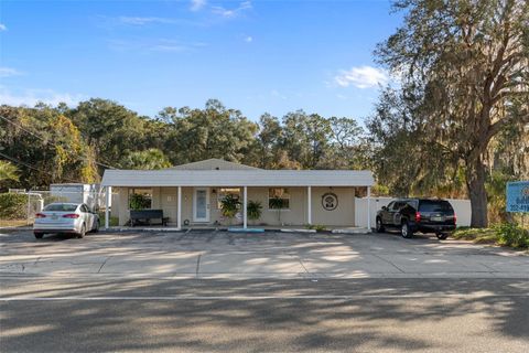 Tiny photo for 3287 S Florida Avenue, Inverness, FL 34450 (MLS # OM715375)