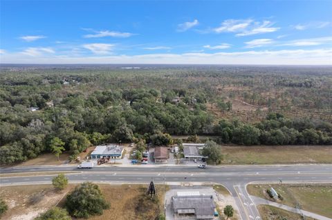 Tiny photo for 3287 S Florida Avenue, Inverness, FL 34450 (MLS # OM715375)