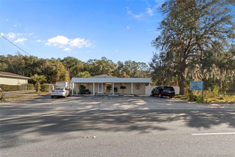 Tiny photo for 3287 S Florida Avenue, Inverness, FL 34450 (MLS # OM715375)