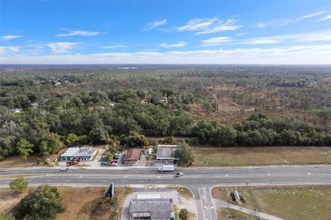 Tiny photo for 3287 S Florida Avenue, Inverness, FL 34450 (MLS # OM715375)
