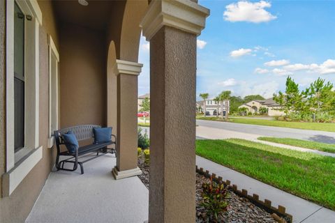 A home in LAND O LAKES