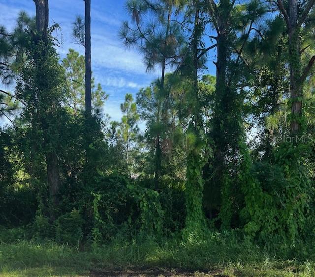 This lot is located in a country like setting in a fast growing community. City water is available & is located about 80 feet away from this property. Great for homeowners insurance. North Port schools are highly rated .The city is big on natural amenities & beautiful Parks. Home to famous Warm Mineral Springs & Atlanta Braves Springs Training Facilities.
If you are in need of a builder I can recommend some great builders in this area.
Do not forget our beautiful Florida Beaches. Plenty of great golf courses & great restaurants