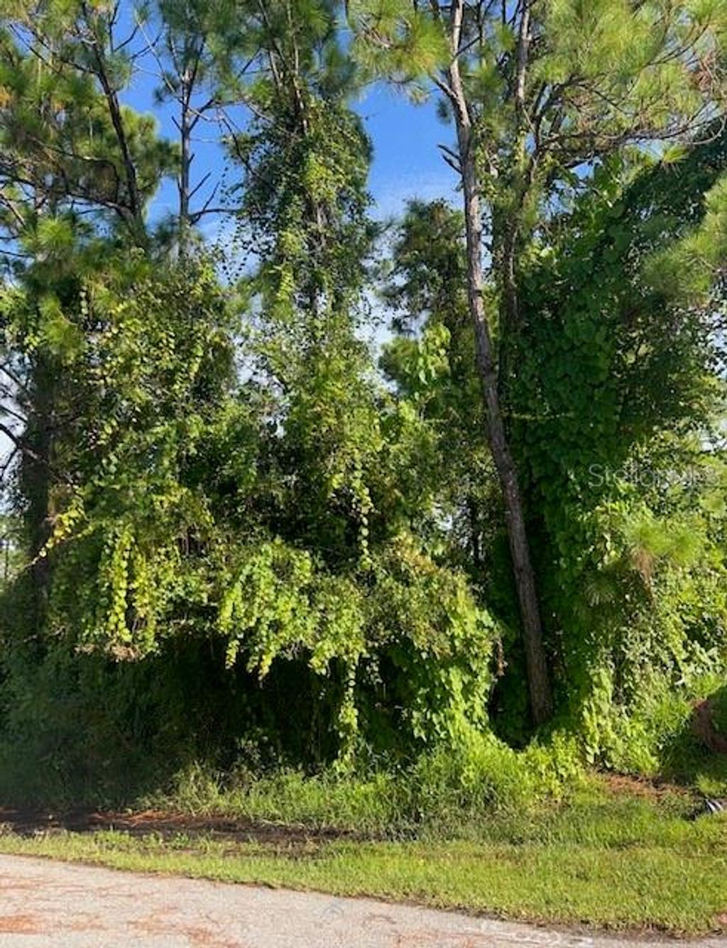 Photo of Gancedo Avenue, North Port, FL 34291 (MLS # C7514346)