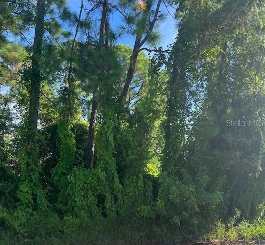Photo of Gancedo Avenue, North Port, FL 34291 (MLS # C7514346)