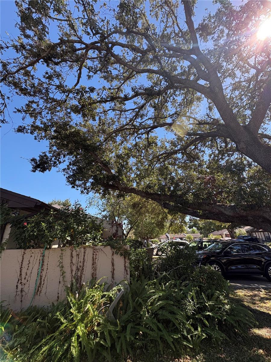 ORANGE RIVER ESTATES UNIT II B - Residential