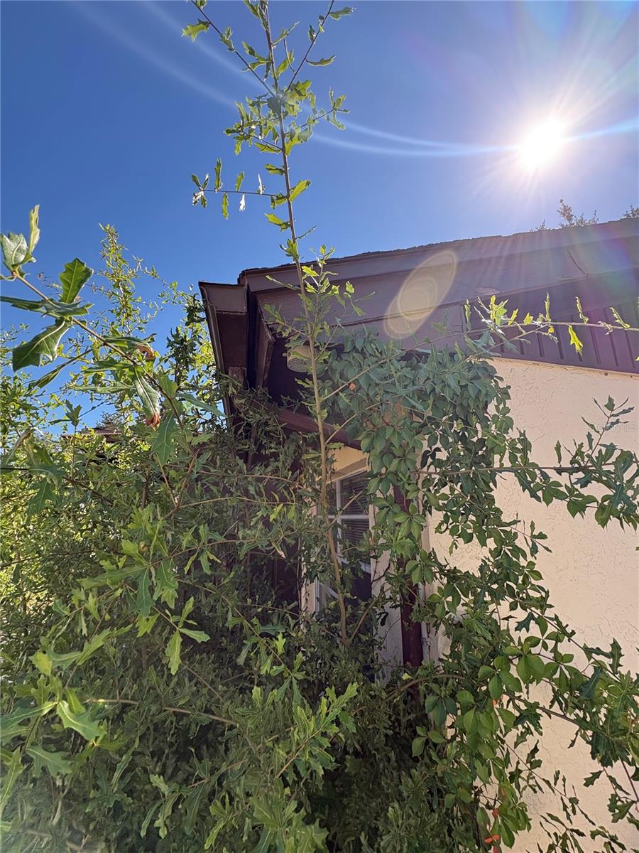 ORANGE RIVER ESTATES UNIT II B - Residential