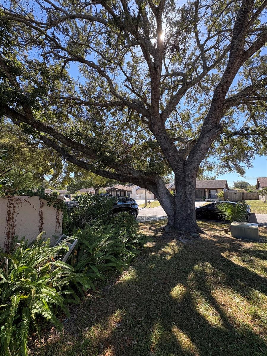 ORANGE RIVER ESTATES UNIT II B - Residential