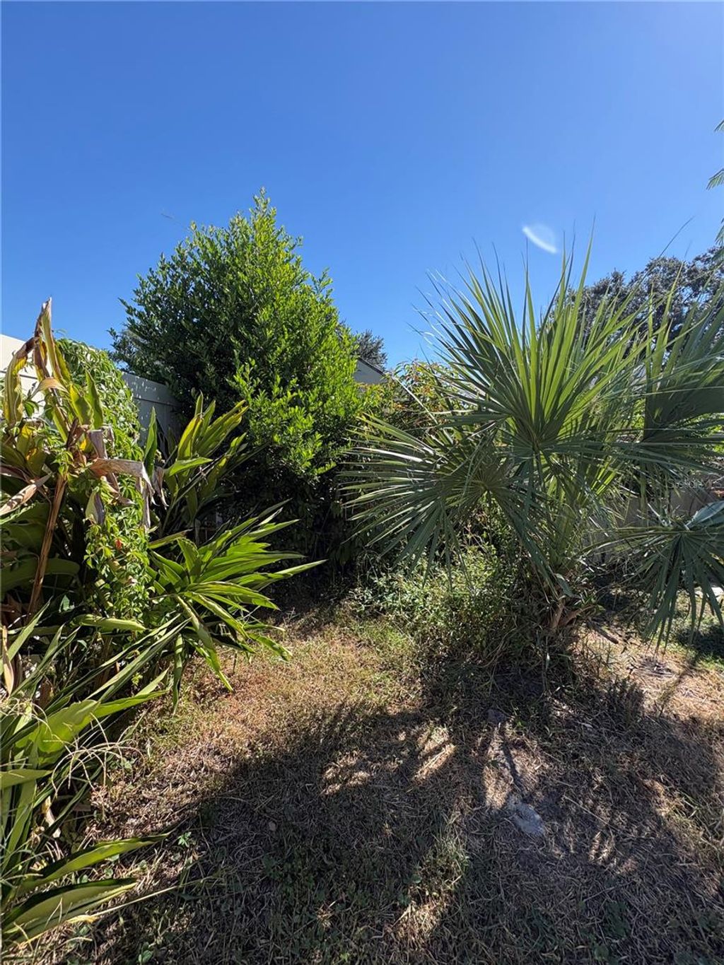 Photo of 7712 Willow Park Drive, Temple Terrace, FL 33637 (MLS # TB8443240)