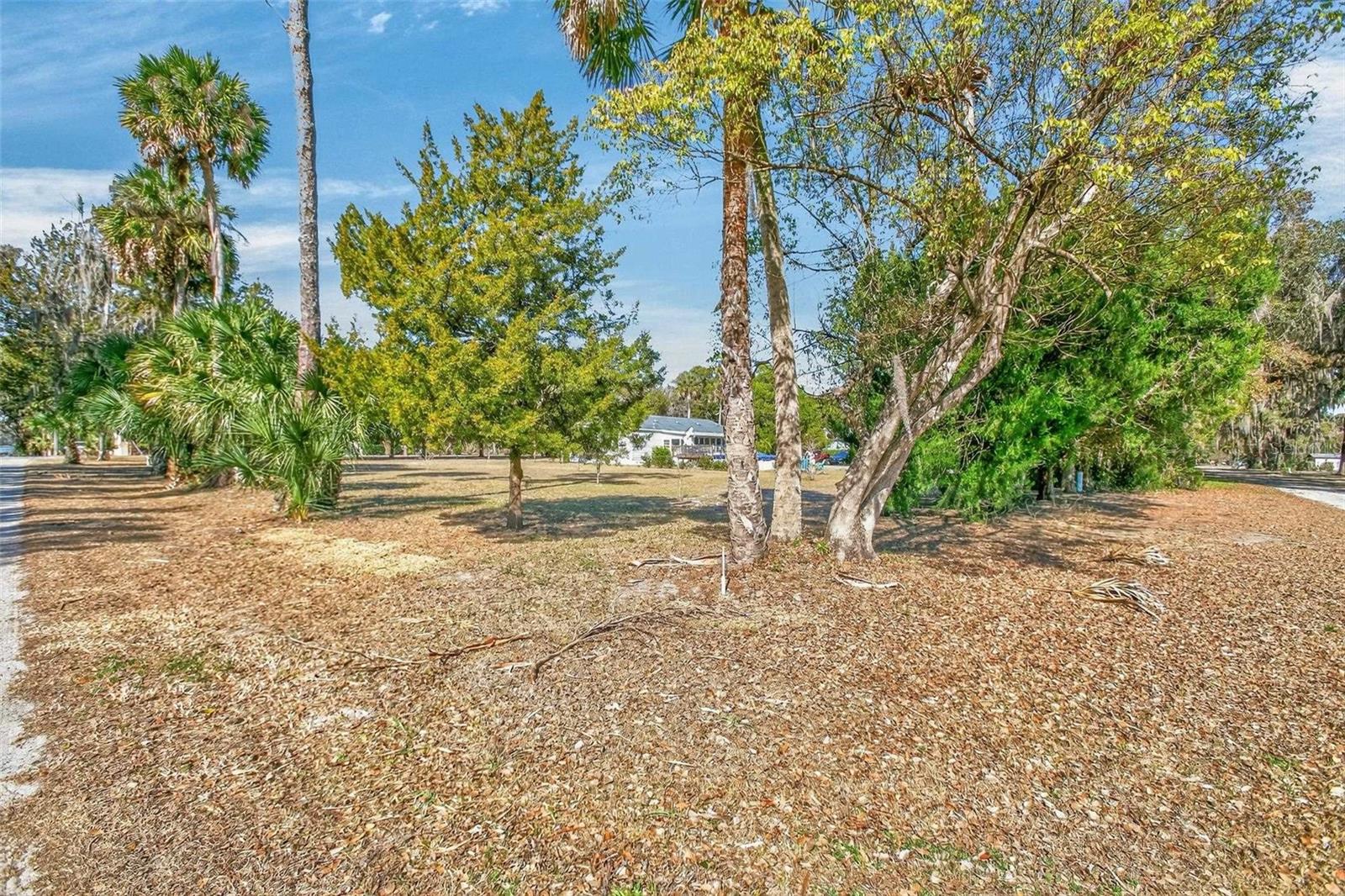 REEDERS - Residential