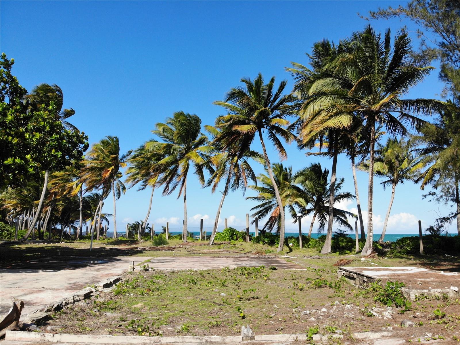 CAMINO LAS PICUAS - Land