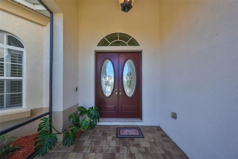 A home in SUN CITY CENTER