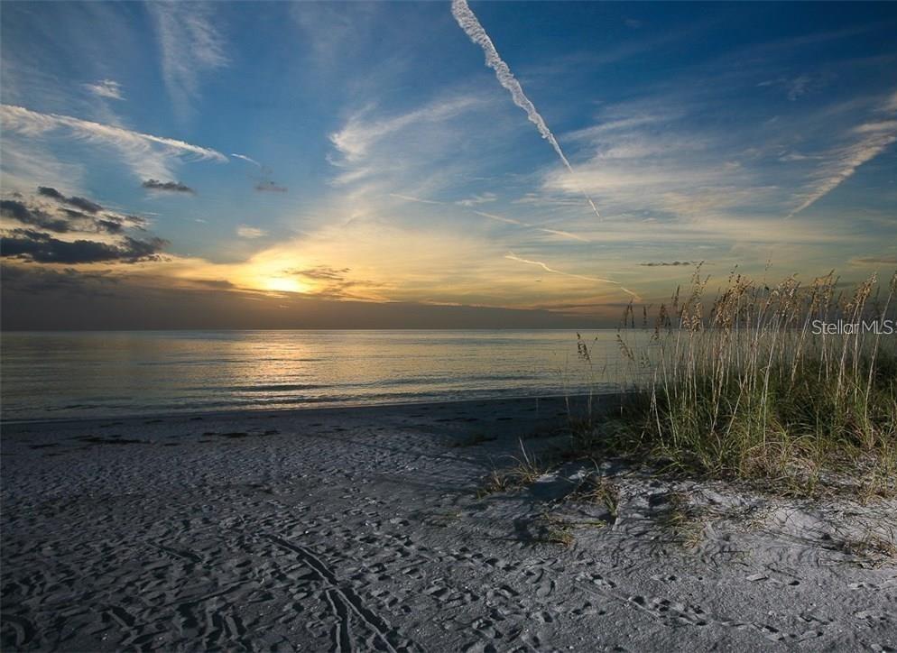 SARASOTA-VENICE CO RIVER SUB - Residential Lease
