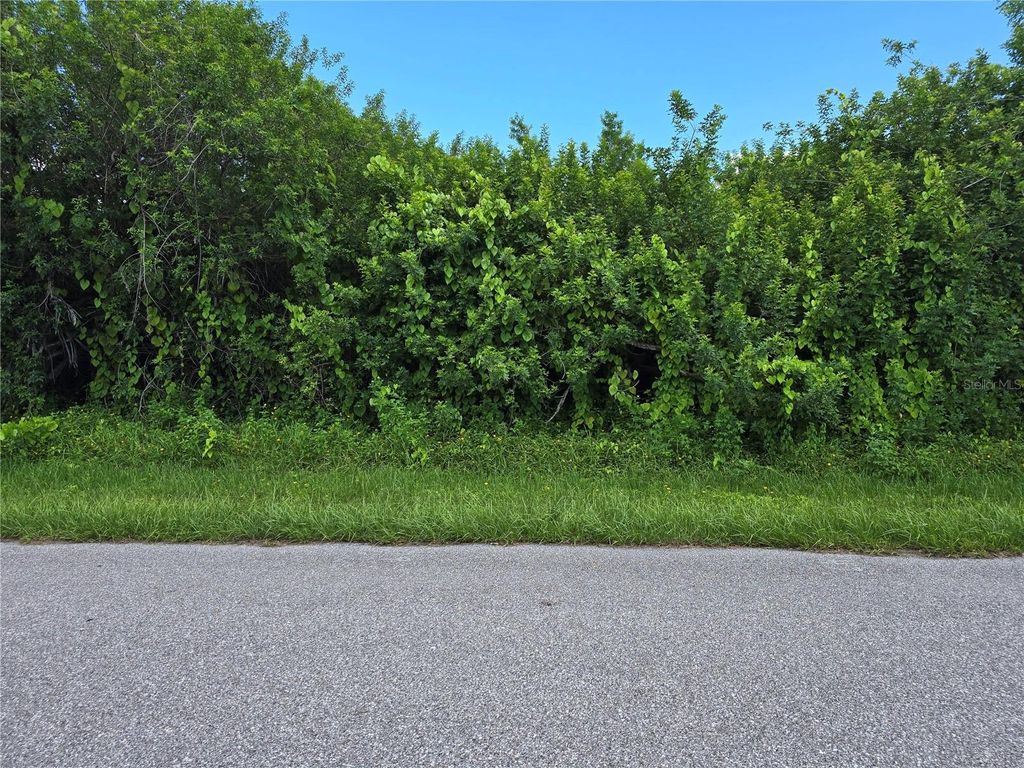 Photo of 167 Lenoir Street NW, Port Charlotte, FL 33948 (MLS # A4666630)