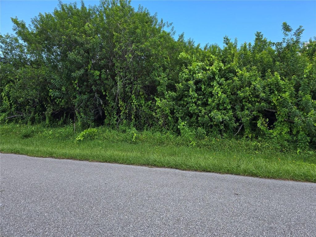 Photo of 167 Lenoir Street NW, Port Charlotte, FL 33948 (MLS # A4666630)