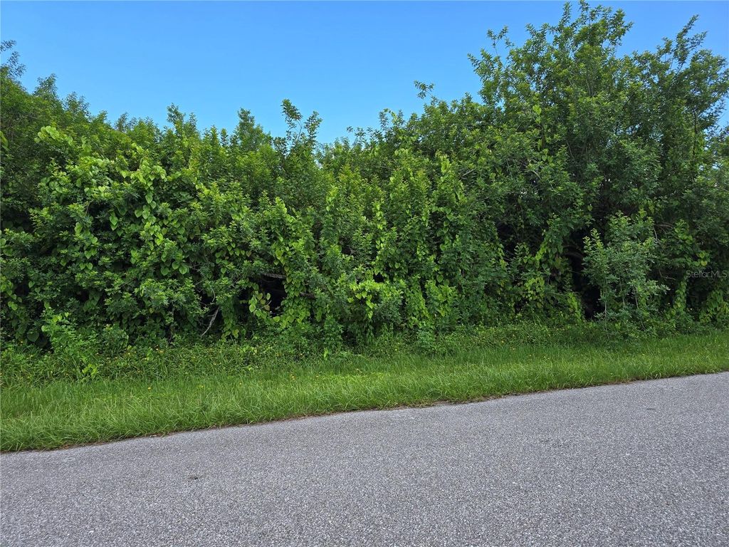 Photo of 167 Lenoir Street NW, Port Charlotte, FL 33948 (MLS # A4666630)