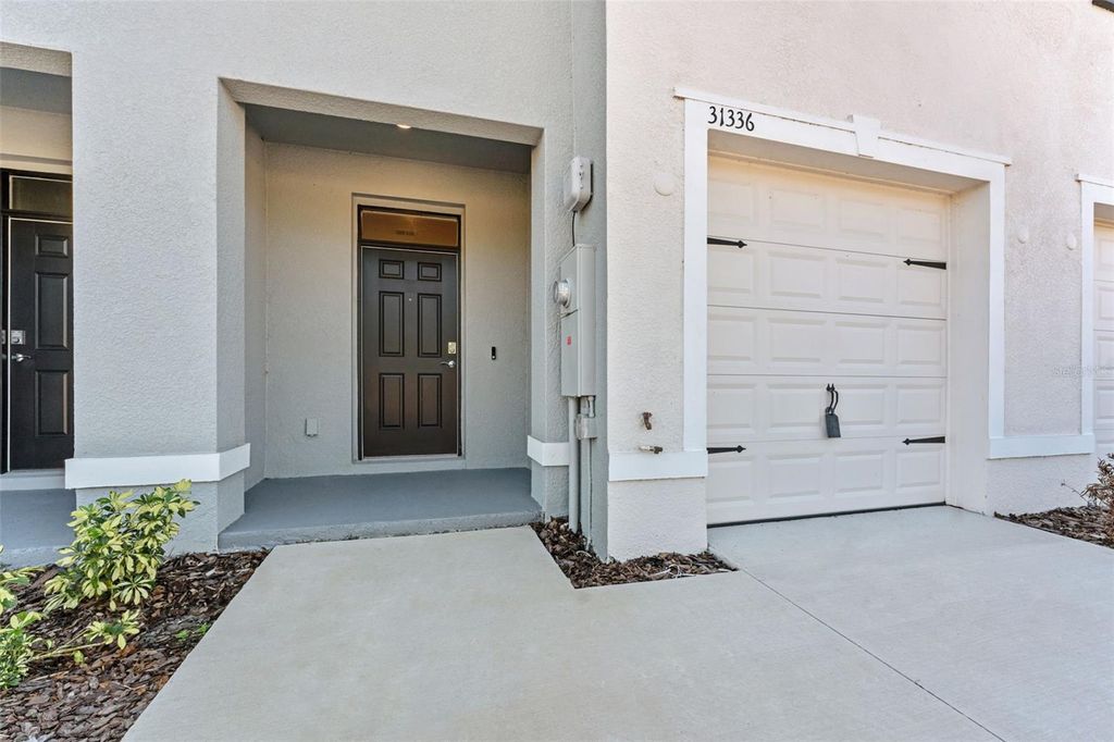 Photo of 31336 Paper Birch Street, Wesley Chapel, FL 33545 (MLS # TB8400378)