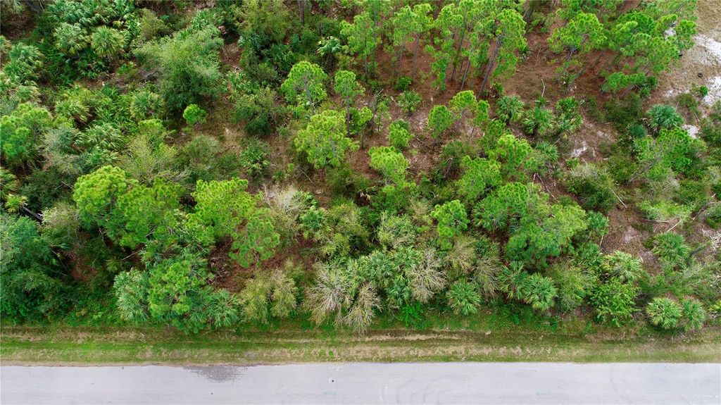 Photo of 26373 Deer Road, Punta Gorda, FL 33955 (MLS # C7497190)